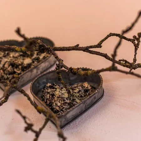 Casa vacanze Nationalpark Weissspitze Neukirchen am Großvenediger