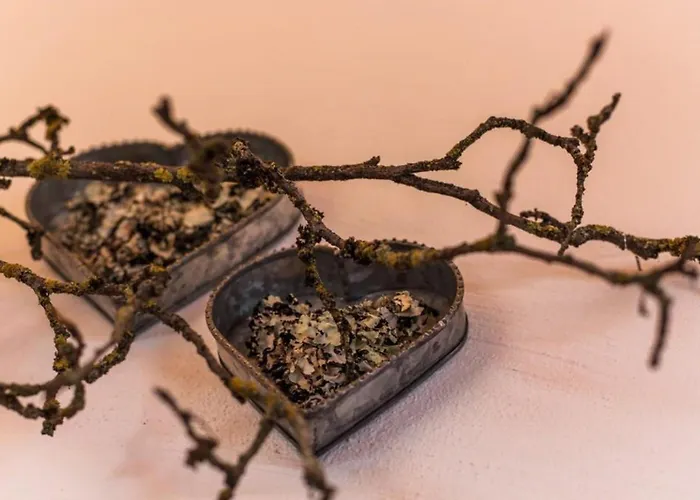 בית נופש Nationalpark Weissspitze Neukirchen am Großvenediger